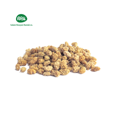 Organic Dried Fruits White Mulberry High Quality