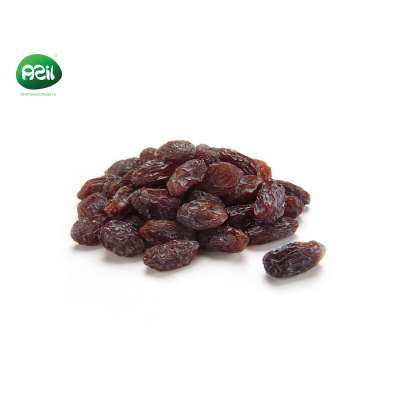 iran raisin hot sale / Fruit whole sale Black Currant Raisins